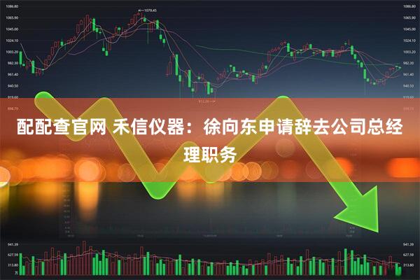 配配查官网 禾信仪器：徐向东申请辞去公司总经理职务